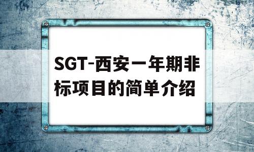 SGT-西安一年期非标项目的简单介绍