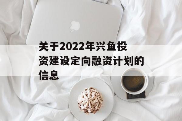 关于2022年兴鱼投资建设定向融资计划的信息