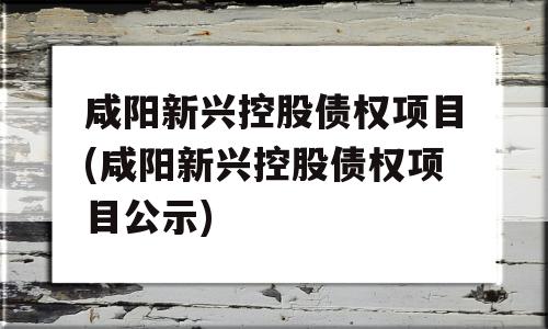 咸阳新兴控股债权项目(咸阳新兴控股债权项目公示)