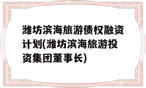 潍坊滨海旅游债权融资计划(潍坊滨海旅游投资集团董事长)