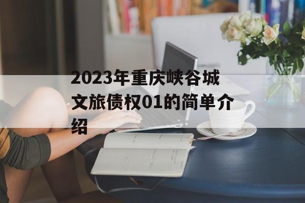 2023年重庆峡谷城文旅债权01的简单介绍