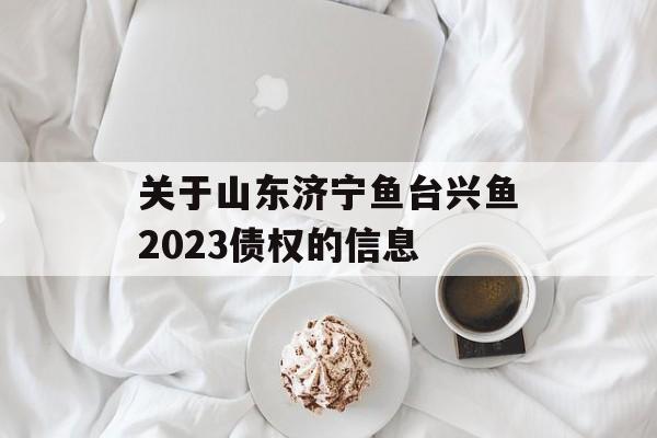 关于山东济宁鱼台兴鱼2023债权的信息