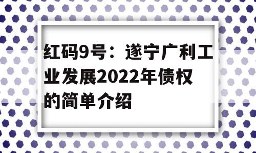 红码9号：遂宁广利工业发展2022年债权的简单介绍