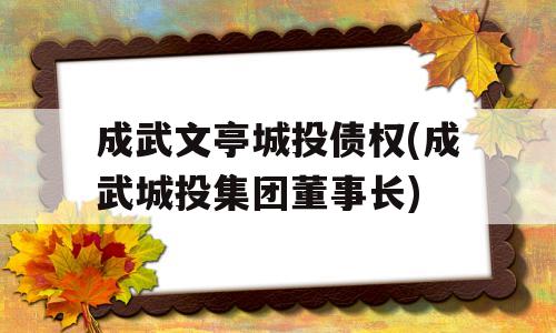 成武文亭城投债权(成武城投集团董事长)