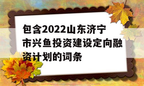 包含2022山东济宁市兴鱼投资建设定向融资计划的词条