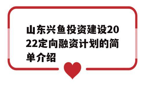 山东兴鱼投资建设2022定向融资计划的简单介绍