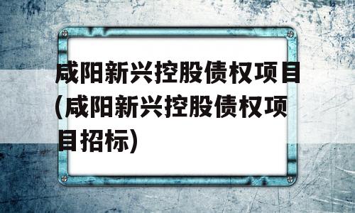 咸阳新兴控股债权项目(咸阳新兴控股债权项目招标)