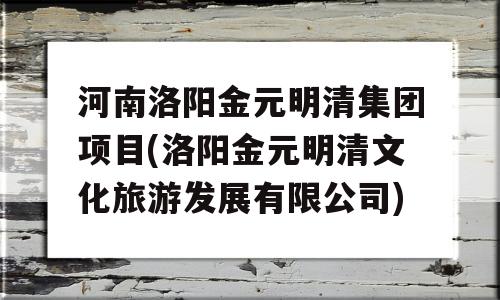 河南洛阳金元明清集团项目(洛阳金元明清文化旅游发展有限公司)