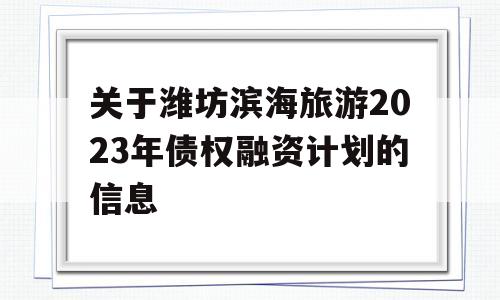 关于潍坊滨海旅游2023年债权融资计划的信息