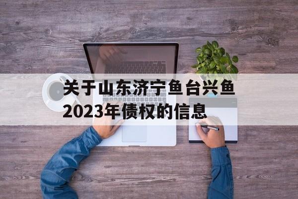 关于山东济宁鱼台兴鱼2023年债权的信息