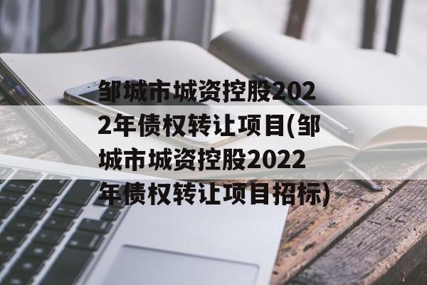 邹城市城资控股2022年债权转让项目(邹城市城资控股2022年债权转让项目招标)