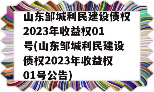 山东邹城利民建设债权2023年收益权01号(山东邹城利民建设债权2023年收益权01号公告)