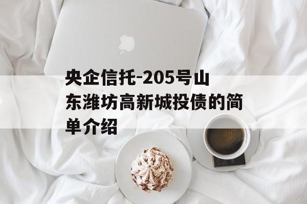 央企信托-205号山东潍坊高新城投债的简单介绍