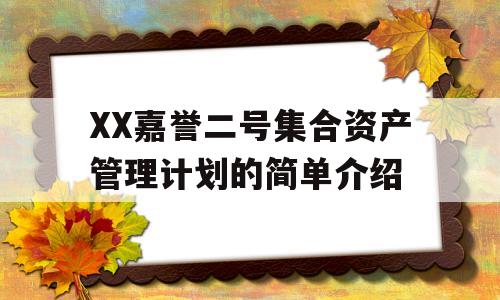 XX嘉誉二号集合资产管理计划的简单介绍