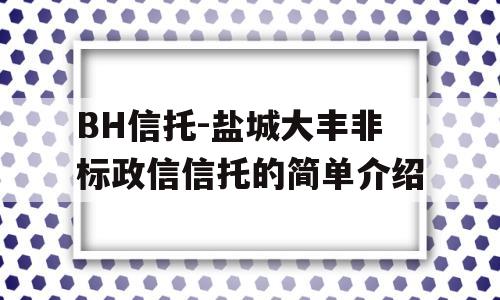 BH信托-盐城大丰非标政信信托的简单介绍