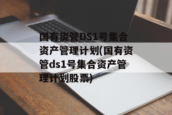 国有资管DS1号集合资产管理计划(国有资管ds1号集合资产管理计划股票)