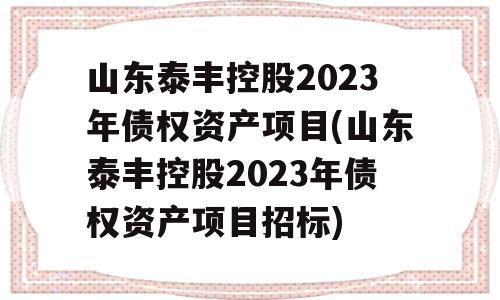 山东泰丰控股2023年债权资产项目(山东泰丰控股2023年债权资产项目招标)