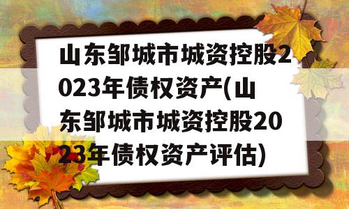 山东邹城市城资控股2023年债权资产(山东邹城市城资控股2023年债权资产评估)