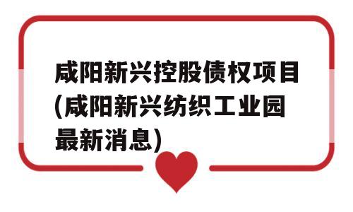 咸阳新兴控股债权项目(咸阳新兴纺织工业园最新消息)