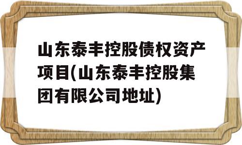 山东泰丰控股债权资产项目(山东泰丰控股集团有限公司地址)