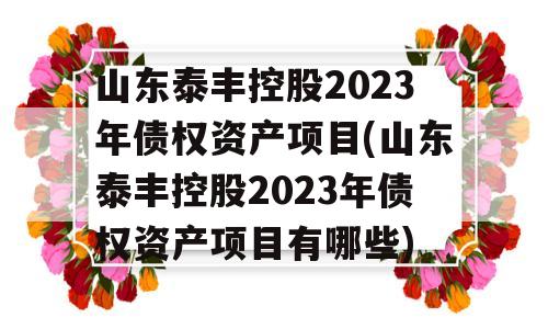 山东泰丰控股2023年债权资产项目(山东泰丰控股2023年债权资产项目有哪些)