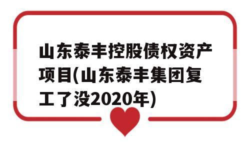 山东泰丰控股债权资产项目(山东泰丰集团复工了没2020年)