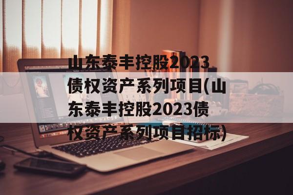 山东泰丰控股2023债权资产系列项目(山东泰丰控股2023债权资产系列项目招标)