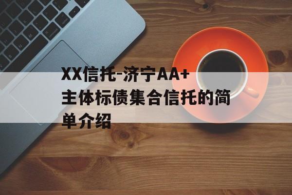 XX信托-济宁AA+主体标债集合信托的简单介绍