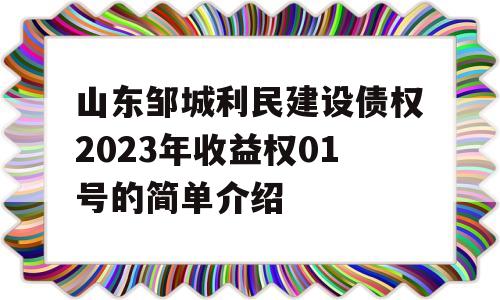 山东邹城利民建设债权2023年收益权01号的简单介绍