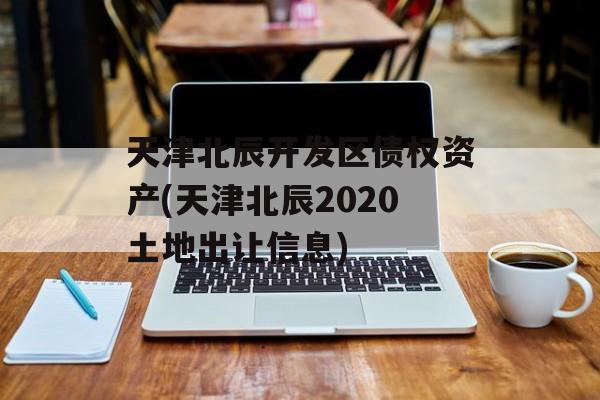 天津北辰开发区债权资产(天津北辰2020土地出让信息)