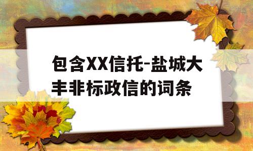 包含XX信托-盐城大丰非标政信的词条