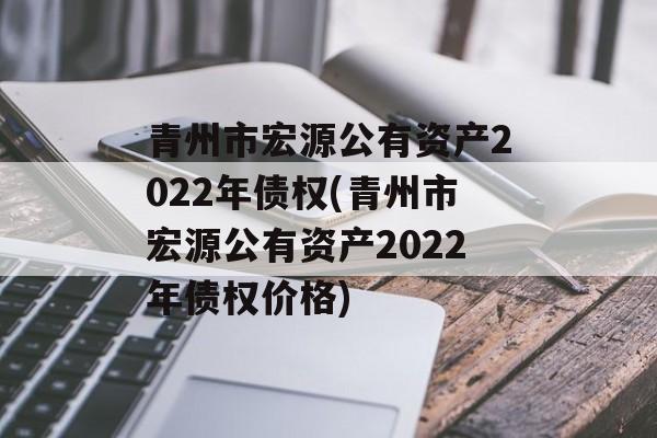 青州市宏源公有资产2022年债权(青州市宏源公有资产2022年债权价格)