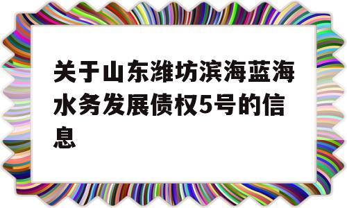 关于山东潍坊滨海蓝海水务发展债权5号的信息