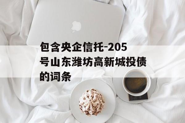 包含央企信托-205号山东潍坊高新城投债的词条