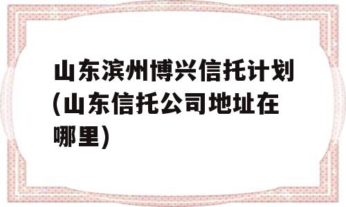 山东滨州博兴信托计划(山东信托公司地址在哪里)