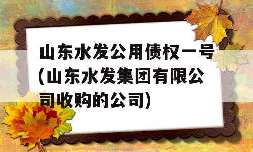 山东水发公用债权一号(山东水发集团有限公司收购的公司)