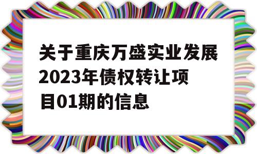 关于重庆万盛实业发展2023年债权转让项目01期的信息