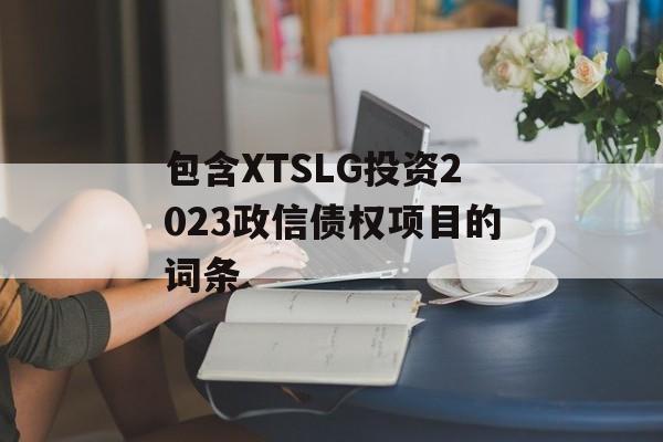 包含XTSLG投资2023政信债权项目的词条