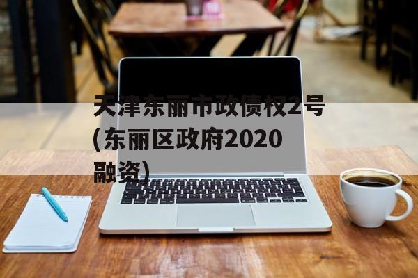 天津东丽市政债权2号(东丽区政府2020融资)