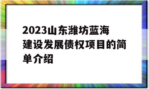 2023山东潍坊蓝海建设发展债权项目的简单介绍