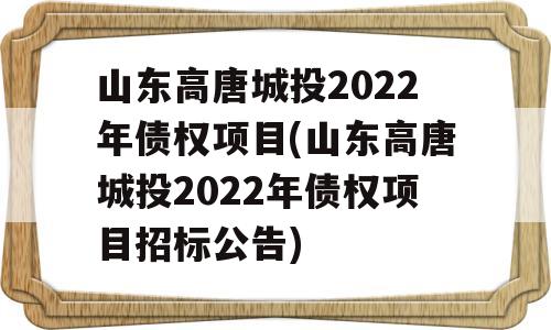 山东高唐城投2022年债权项目(山东高唐城投2022年债权项目招标公告)