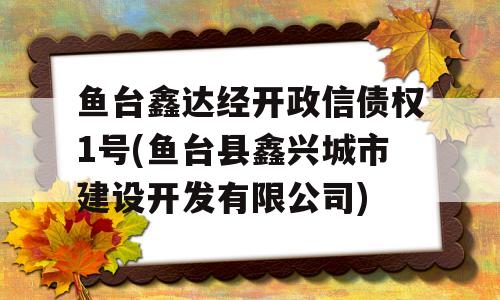 鱼台鑫达经开政信债权1号(鱼台县鑫兴城市建设开发有限公司)