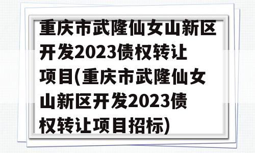 重庆市武隆仙女山新区开发2023债权转让项目(重庆市武隆仙女山新区开发2023债权转让项目招标)