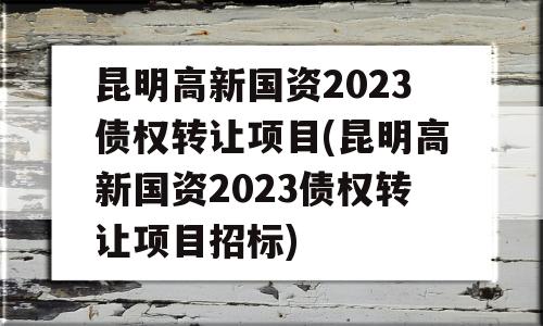 昆明高新国资2023债权转让项目(昆明高新国资2023债权转让项目招标)