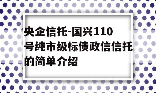 央企信托-国兴110号纯市级标债政信信托的简单介绍