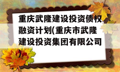 重庆武隆建设投资债权融资计划(重庆市武隆建设投资集团有限公司)