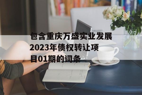 包含重庆万盛实业发展2023年债权转让项目01期的词条