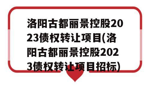 洛阳古都丽景控股2023债权转让项目(洛阳古都丽景控股2023债权转让项目招标)