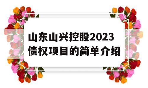 山东山兴控股2023债权项目的简单介绍