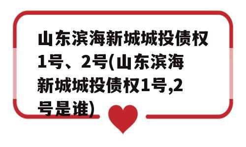 山东滨海新城城投债权1号、2号(山东滨海新城城投债权1号,2号是谁)